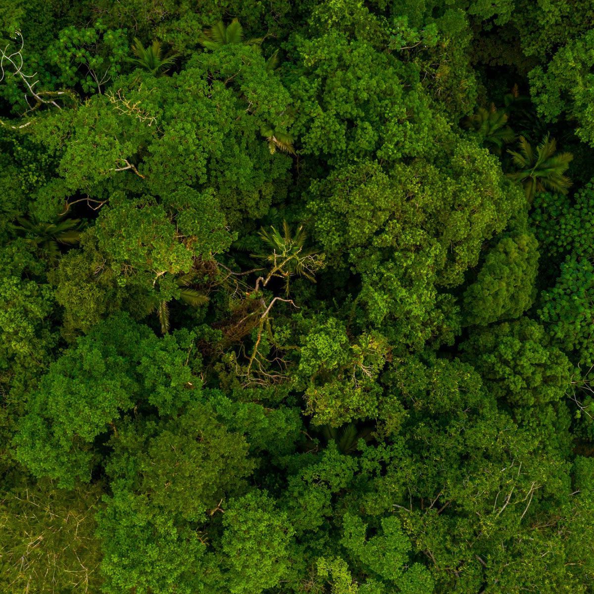 Empresa - Ponto Verde Ambiental